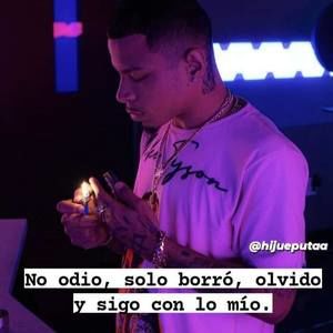 Meet your Posher, Wilber